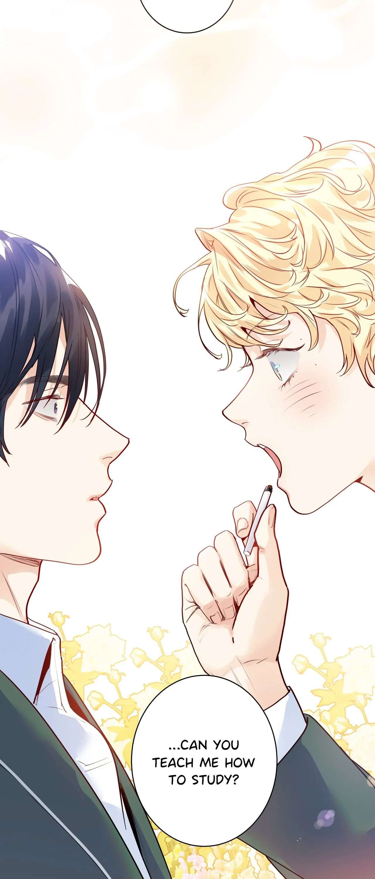 Love is an Illusion! – Superstar yaoi omegaverse bl smut manhwa ...