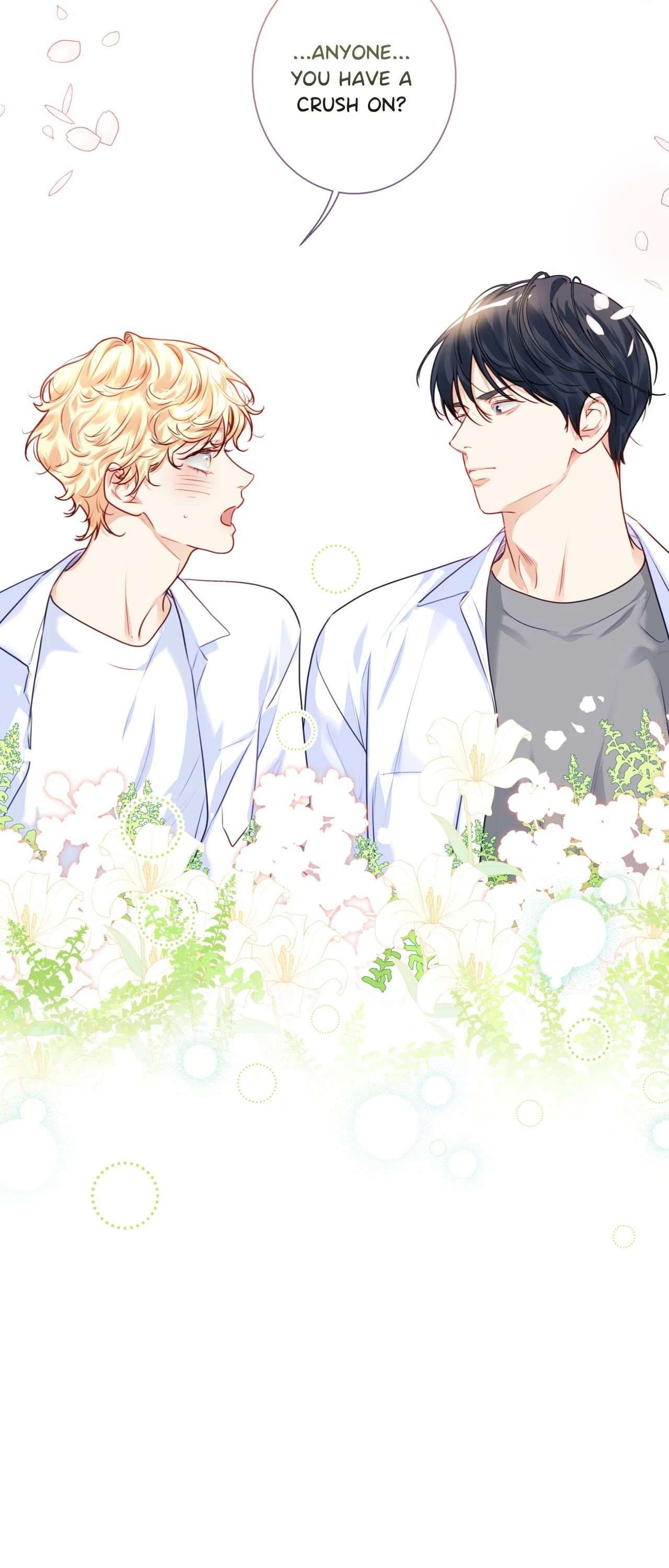 Love is an Illusion! – Superstar yaoi omegaverse bl smut manhwa ...